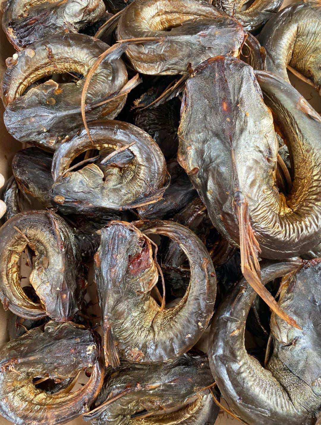 Sea catfish (whole) Traditionally smoked (450g - 500g)