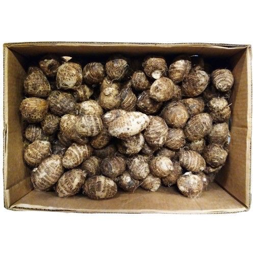 Cocoyam fresco (Eddoes)