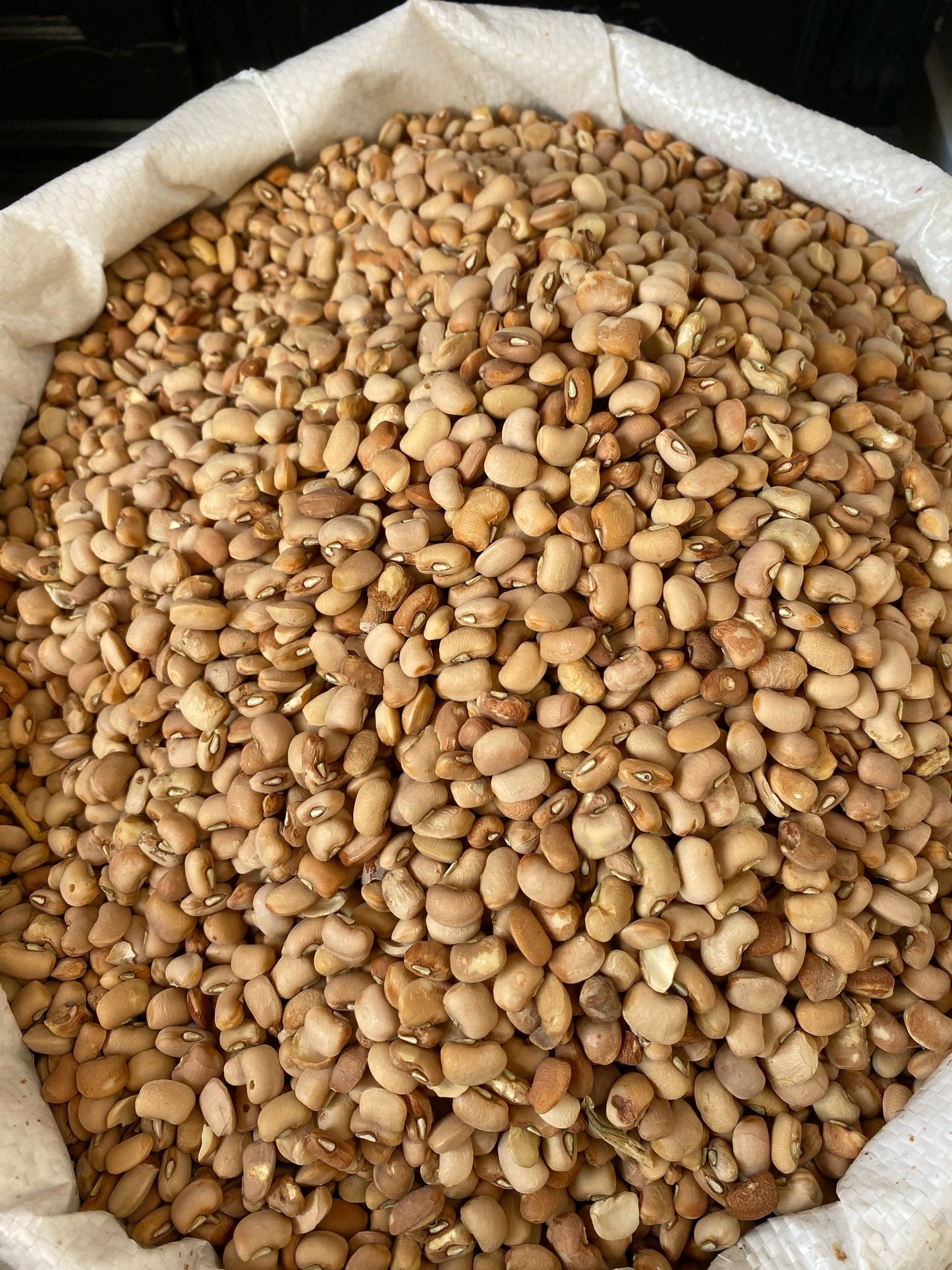 Beans (Honey/ Oloyin or sweet Beans) - 800g