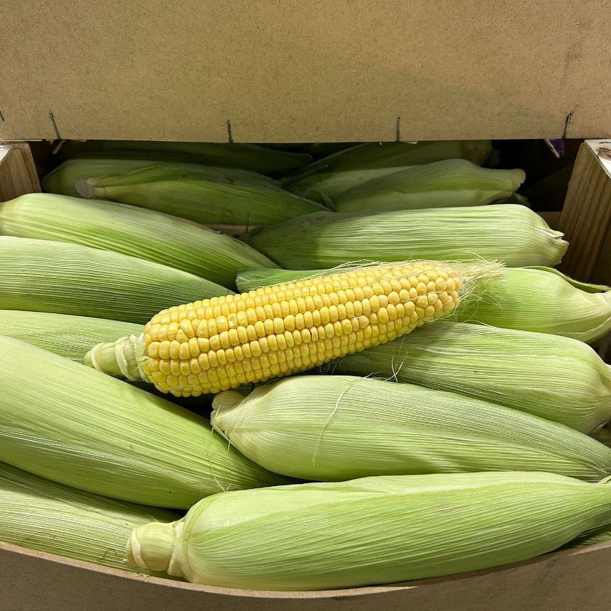 Fresh Corn / Maize