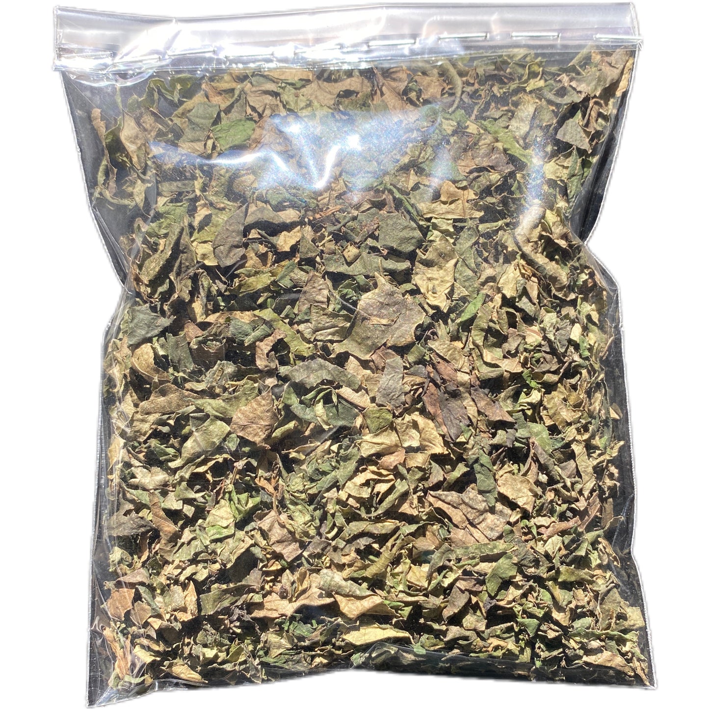 Folhas secas de Uziza