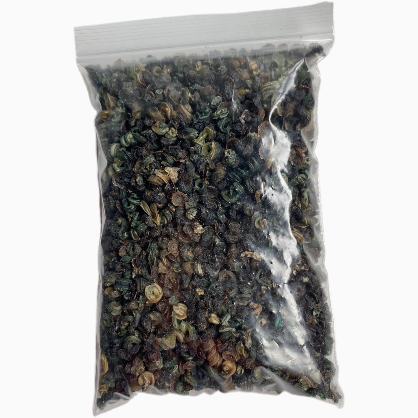 Pervinca africana desidratada