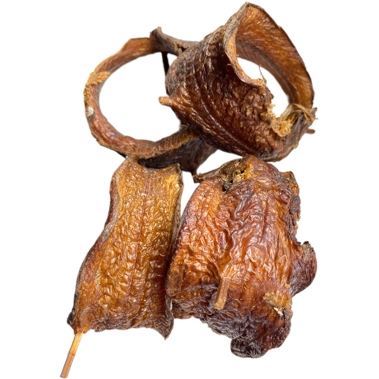 Abo ou Peixe Linguado