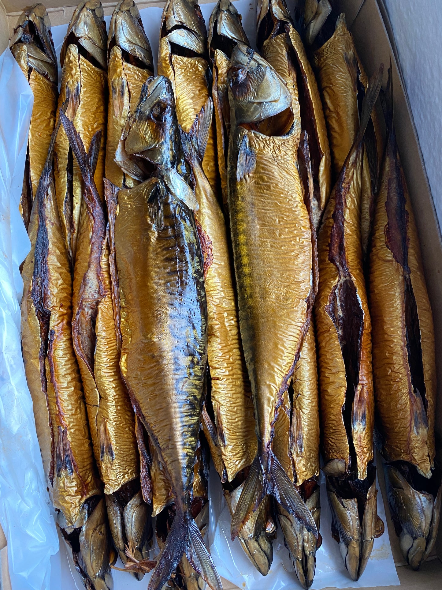 Cavala defumada (Titus) Peixe