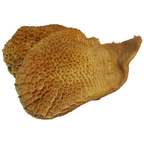 Cow stomach (Honeycomb) - 1kg