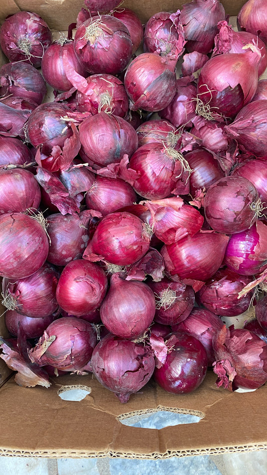 Red or Purple Onions - 1kg