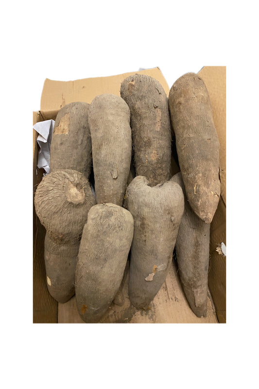 Fresh Yam Tuber