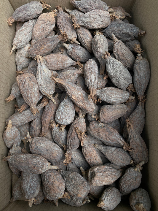 Alligator Pepper / Ose Oji /mbongo spice or Hepper pepper