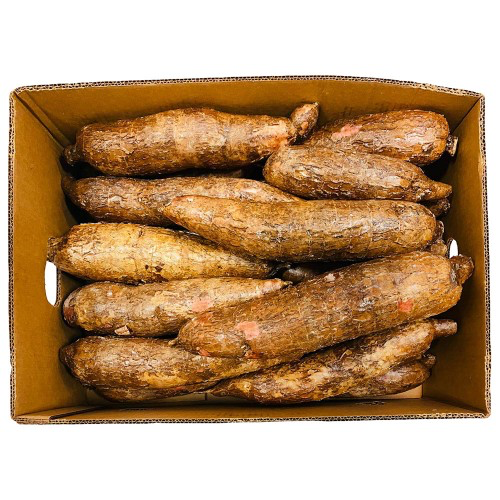 Fresh Cassava