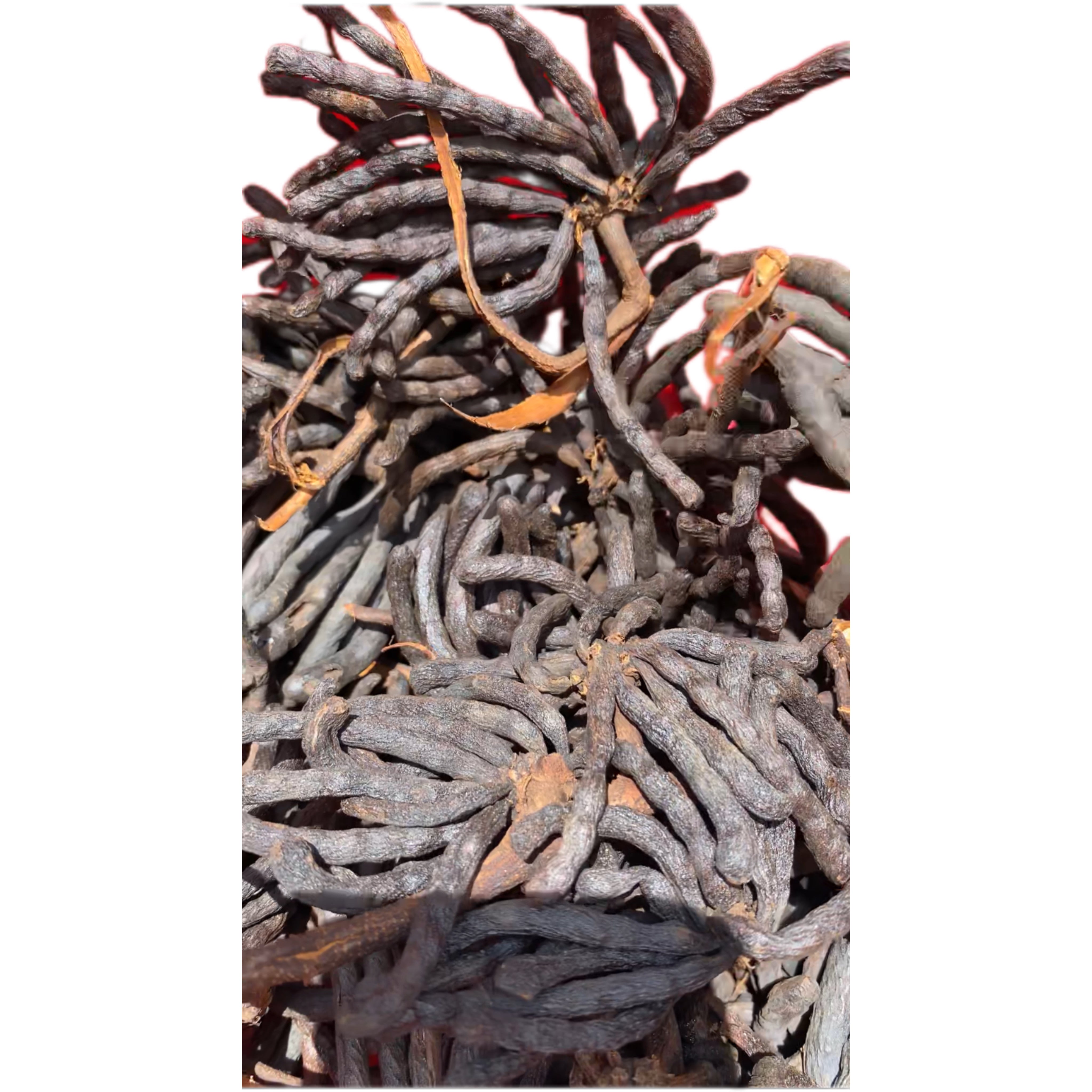 Uda In English Uda/Negro Pepper/Selim grains 100g– Favy African Market